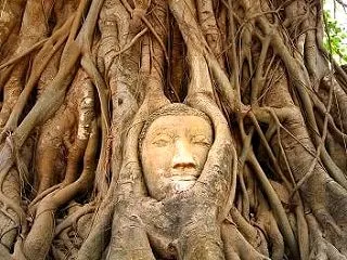 新世界写真１４３５