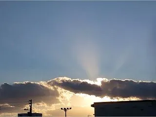 夕方の光芒とトンボ
