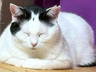なんとなくそり子