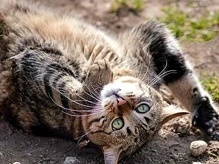 エイブラハムの一言 豊かさと繁栄は無限