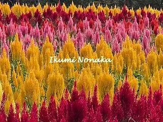 神から与えられた消えない炎