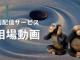 お昼の動画とは一味違う別の動画も配信して…