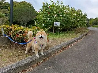 ぺぺの吐出対策！