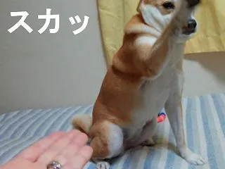 原因は、きっと私。