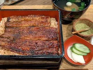 悲しいくらい干物なうなぎ〜♪嘘のようなほ…