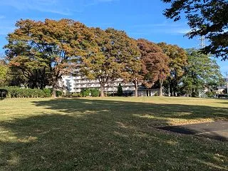１０月１６日
