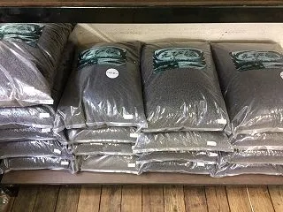 シュリンプ 各種 １２００匹 入荷！！