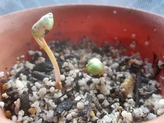 大丈夫かな