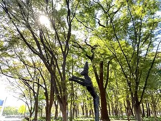 五感を使って鼓動を整える・・★ ～日常で…