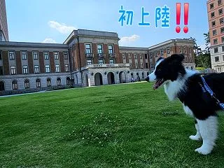 ＧＵＮＭＡ ＰＡＳＳＰＯＲＴが発券されま…