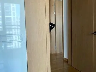 あなたを見ている
