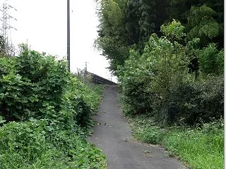 ----日本の車窓から(9940) ： …