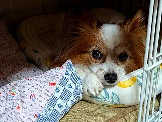 居心地良いですか？(灬º‿º灬)♡