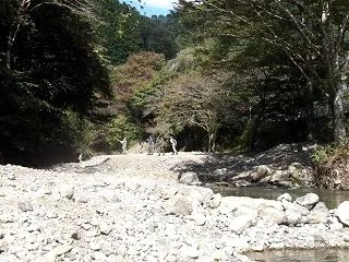 養沢(今回54回目)に行ってきました！