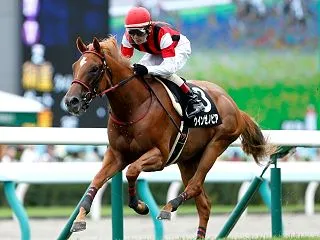 ウインＲＣ退会になりました（たぶん）