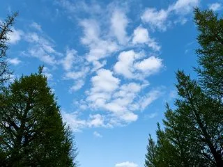 スケジュール管理で大切な「予定を立てる力…