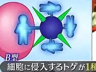 いずれインフルエンザB型が消滅する？かも…