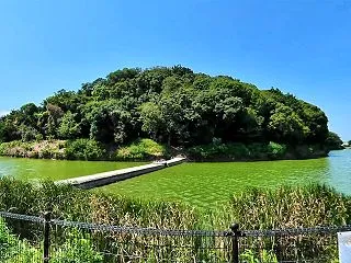 自転車でニサンザイ古墳を一周してみた！【…