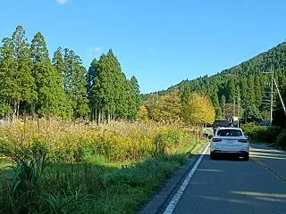 瓜割の水と生落花生