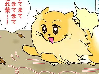 虹の国でも枯れ葉キャッチ？