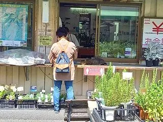 レオの新しい生活 ～悲しみからの脱却～