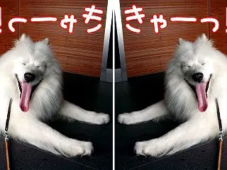 ビビった！