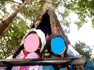 現実的な目指せる高みを知り