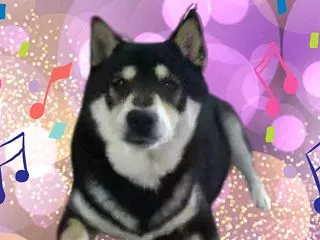 HAPPYBIRTHDAYリッキーパパさ…