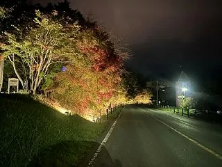 🍁 道の駅 草津運動茶屋公園「紅葉ライト…