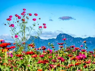鼻高展望花の丘へ10/3その２
