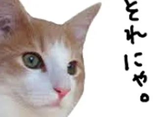 「劣等感」を認め、受け入れ、許す