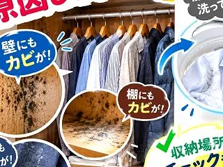 クローゼットでのまさかのカビの原因⁉️