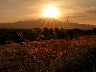 第24回 ダイヤモンド大山 2026年 …