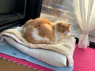 「秋の気配」