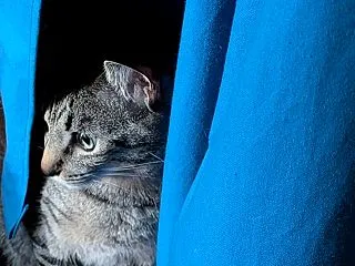 最近思うこと