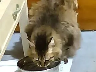 ケイちゃん♪