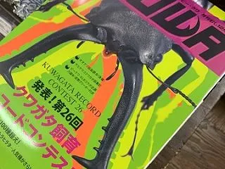 ビークワ最新号入荷