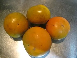 寝床
