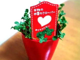 今なら伝わるかな。