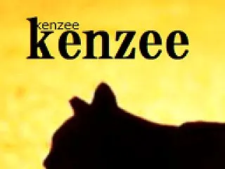 10/16ナイトのシグナル