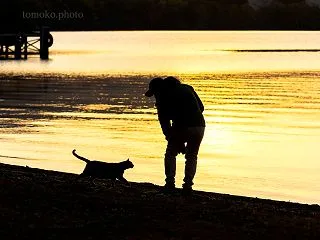 日の出前の優しい時間☆優しいシルエット☆