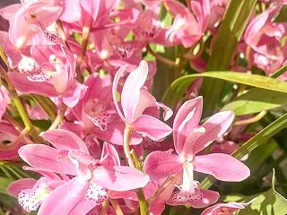 緊急地震速報取り消し続報！
