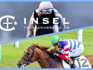 インゼル 2歳馬近況