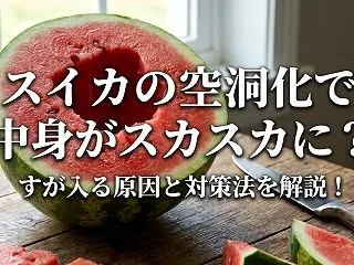 スイカの空洞化で中身がスカスカに？すが入…