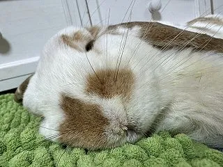 いっそう磨きがかかりました。