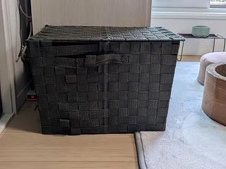 ハネコの週末占い