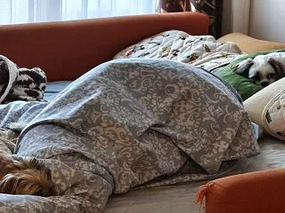 お留守番はわかってるからね…