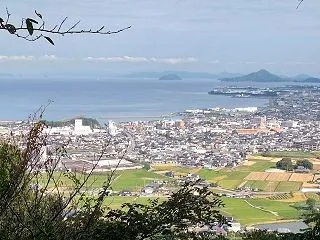 憎たらし マドンナ好きの 放屁虫（にくた…