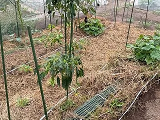 秋冬にシフト作業（パート3、4）