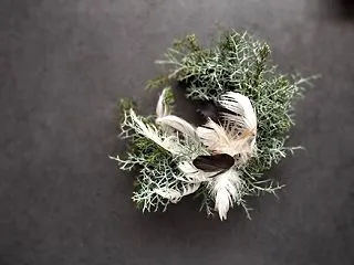 新作リース色々。
